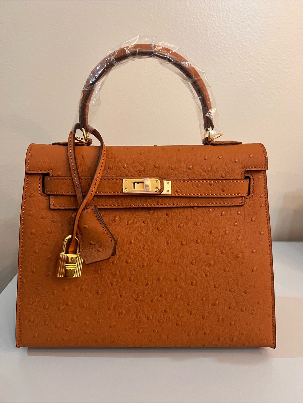 Non-Branded 25cm Ostrich-Embossed Leather Bag, Gold Hardware